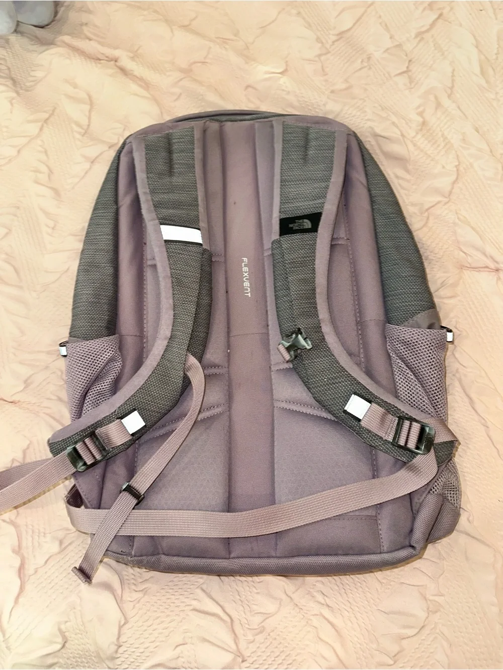 The North Face Jester Backpack in Gray and Mauve